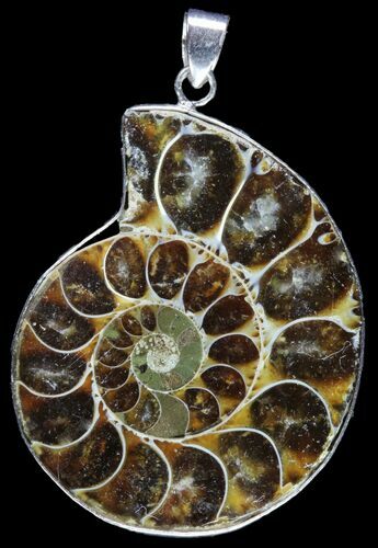 Fossil Ammonite Pendant - Million Years Old #89853